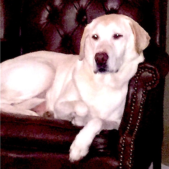 Meet your Posher, Fashioncense - Picture 12 of 12